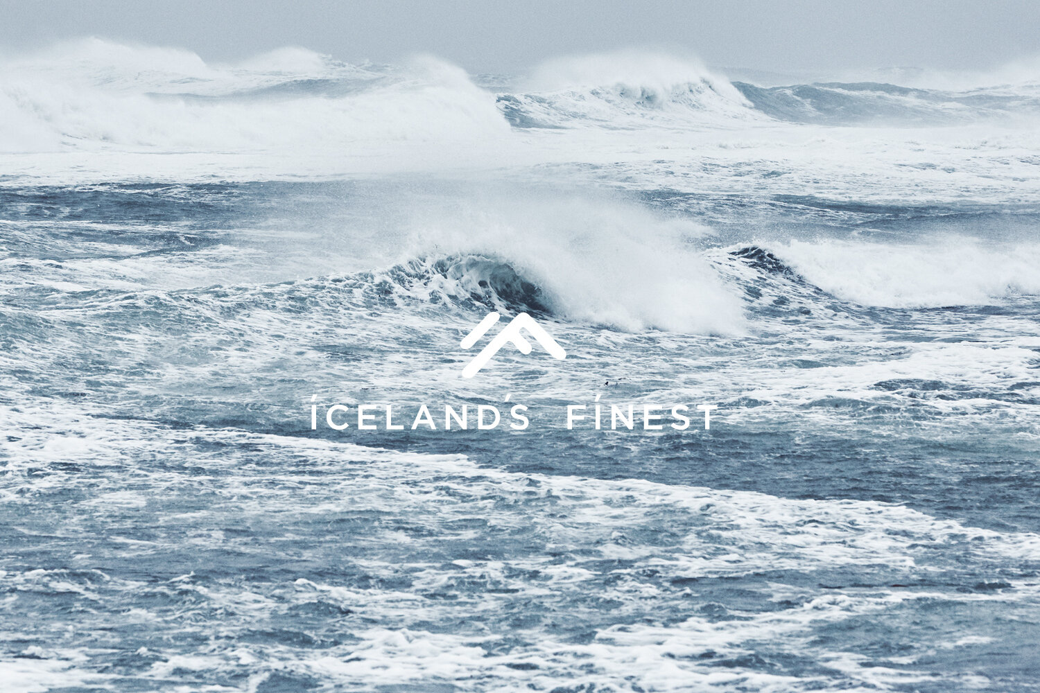 Icelandsfinest-billeder7