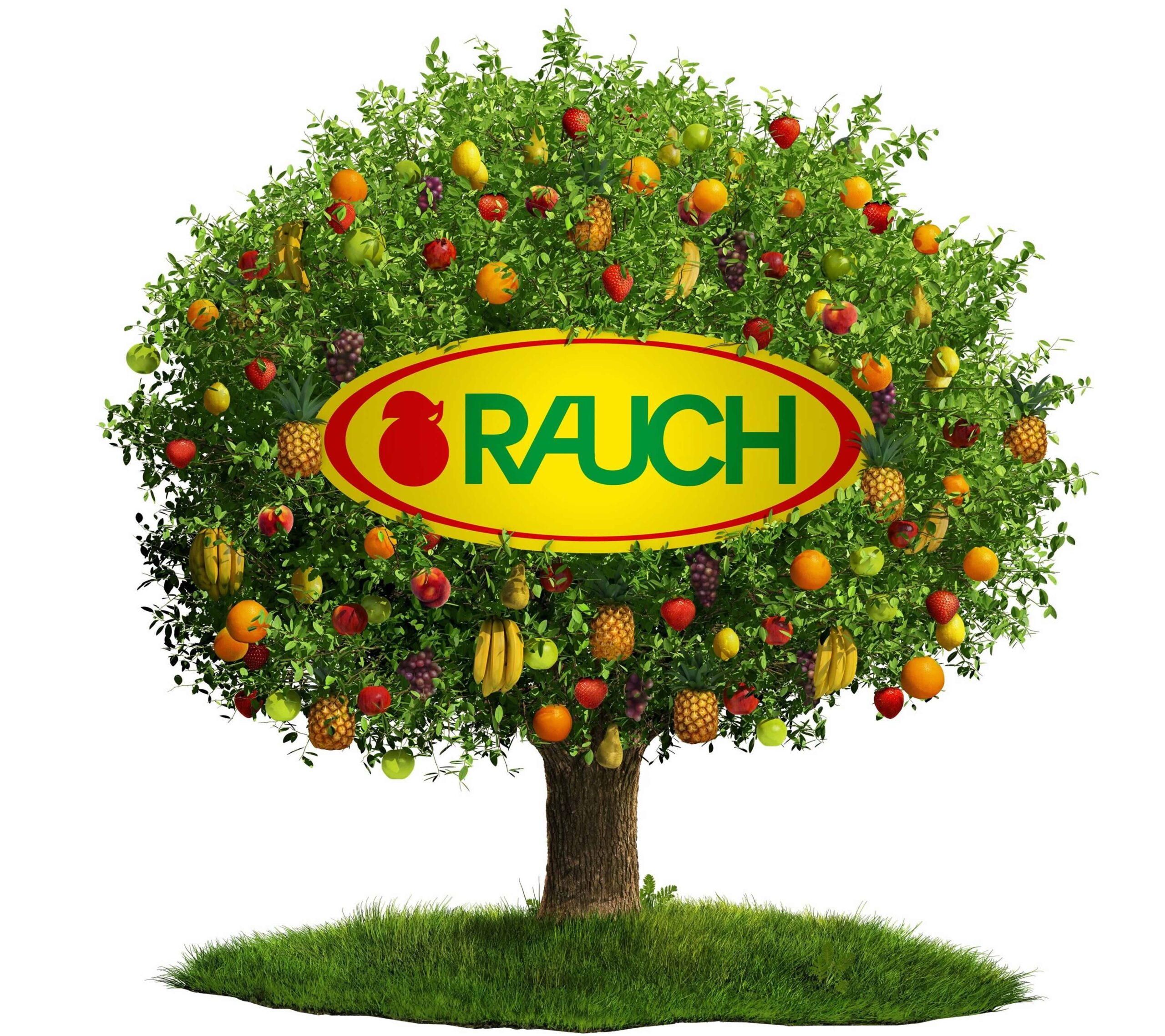 rauch fritlagt 9×8
