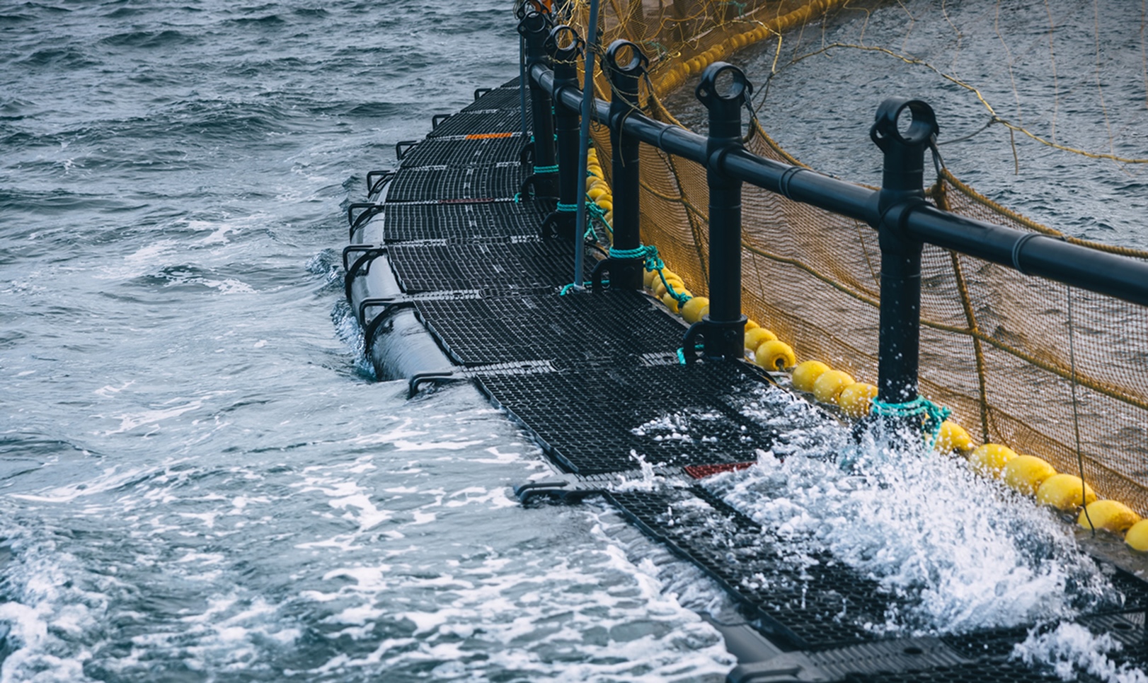 20251023__00A2549 1 1