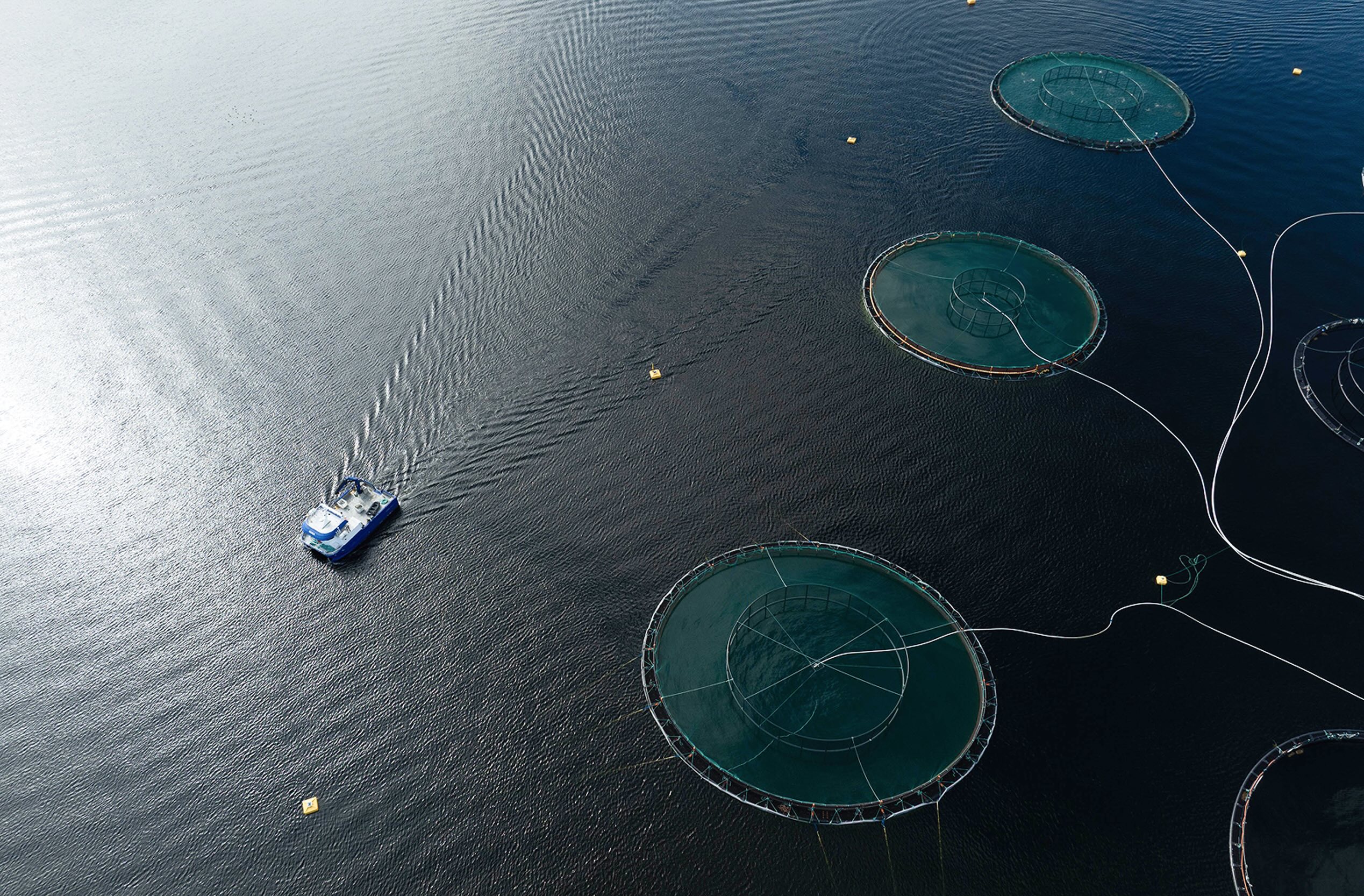 ELDI25A_NORWAY_DJI_0333_1037 1 1